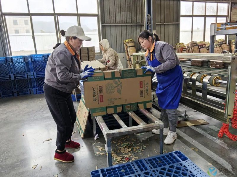 铜仁纸箱厂开足马力赶订单 目标年产值2亿元 助力包装服务升级